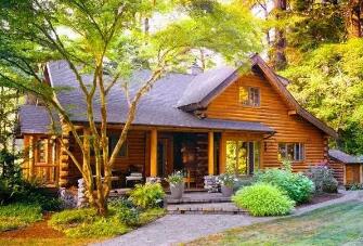 ����ľ��