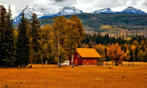 3-1Z1211503250-L.jpg 3-1Z1211503250-L.jpg